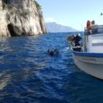 Una rete per salvare il mare. REMARE, il progetto finanziato dalla Regione Campania, grazie a fondi europei FEAMP 2014/2020, sarà presentato giovedì prossimo a Castellabate. Le quattro aree marine protette […]