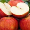 Quella che di fatto è considerata dai più la regina delle mele, la mela annurca, sarà la protagonista del weekend al mercato contadino di Fuorigrotta a Napoli durante gli “Annurca […]